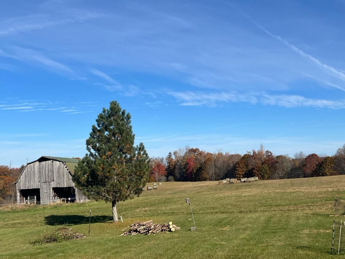 Smiths In-Law Suite! Pet Friendly, Hot Tub! Valley Head Bagian luar foto